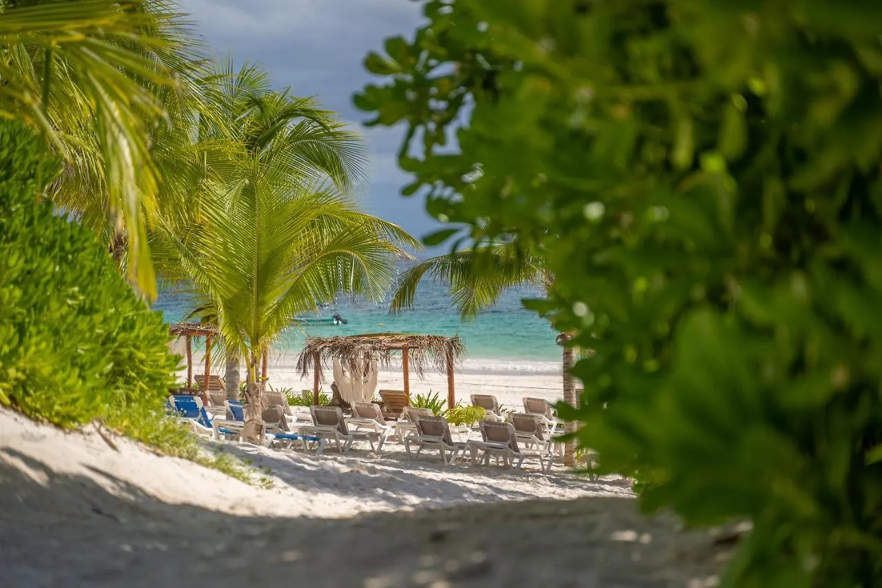 Alito Tulum Hotel