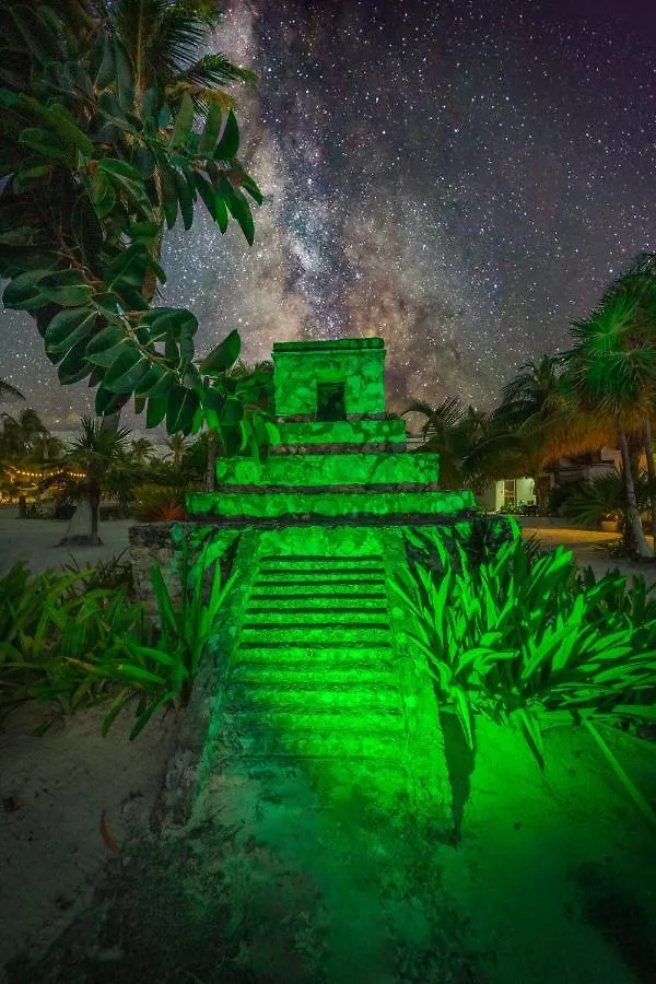 Alito Tulum Hotel
