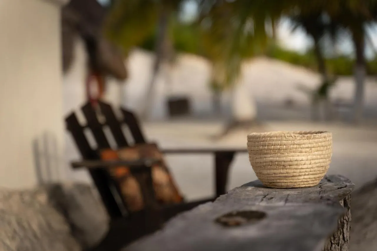 ****  Alito Tulum Hotel Mexico