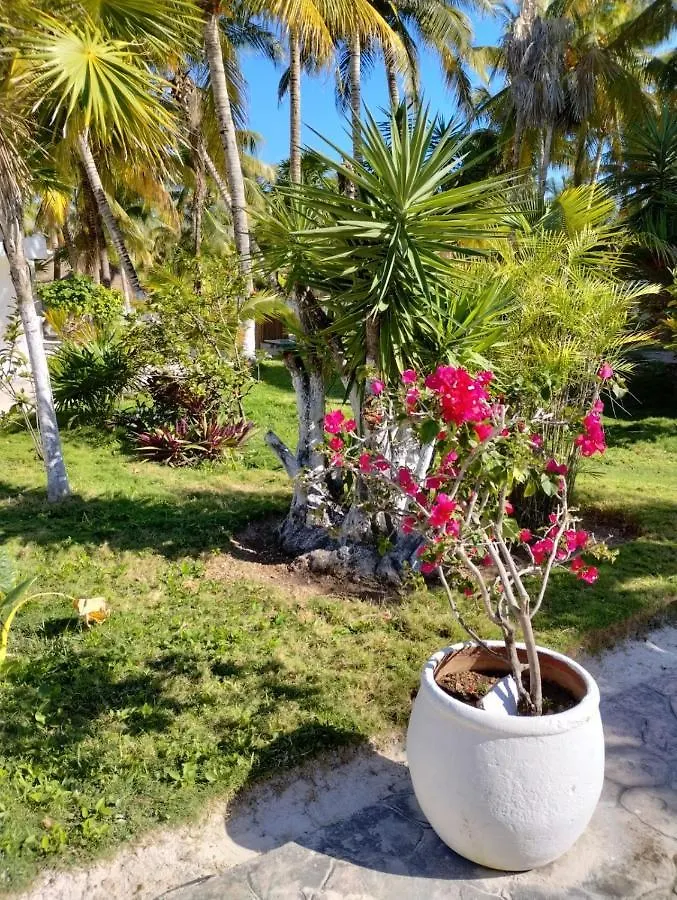Alito Tulum Hotel