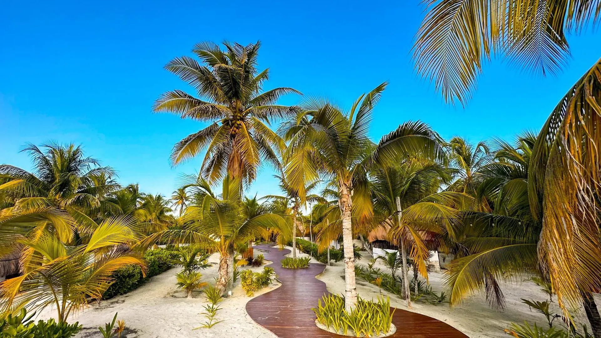 ****  Alito Tulum Hotel Mexico