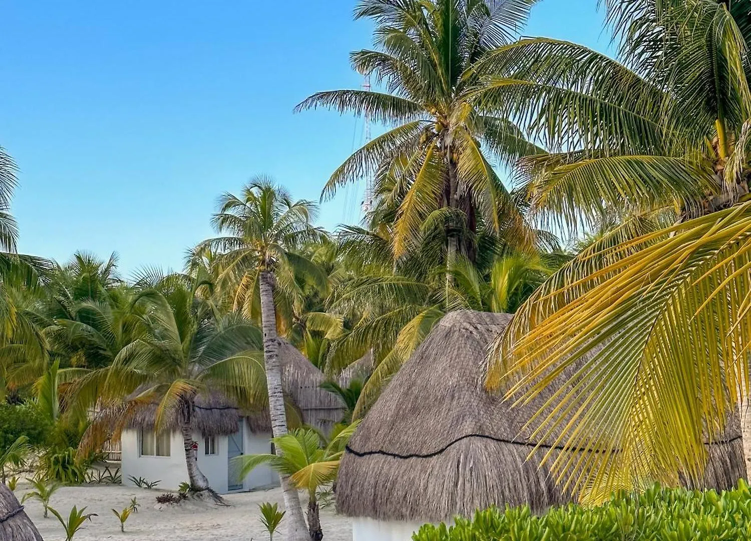 Alito Tulum Hotel 4*,