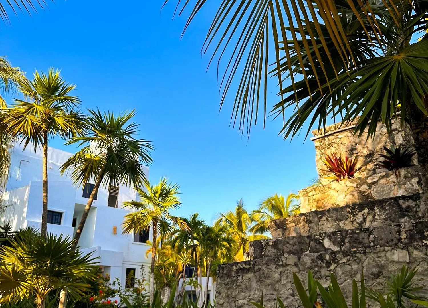 Alito Tulum Hotel