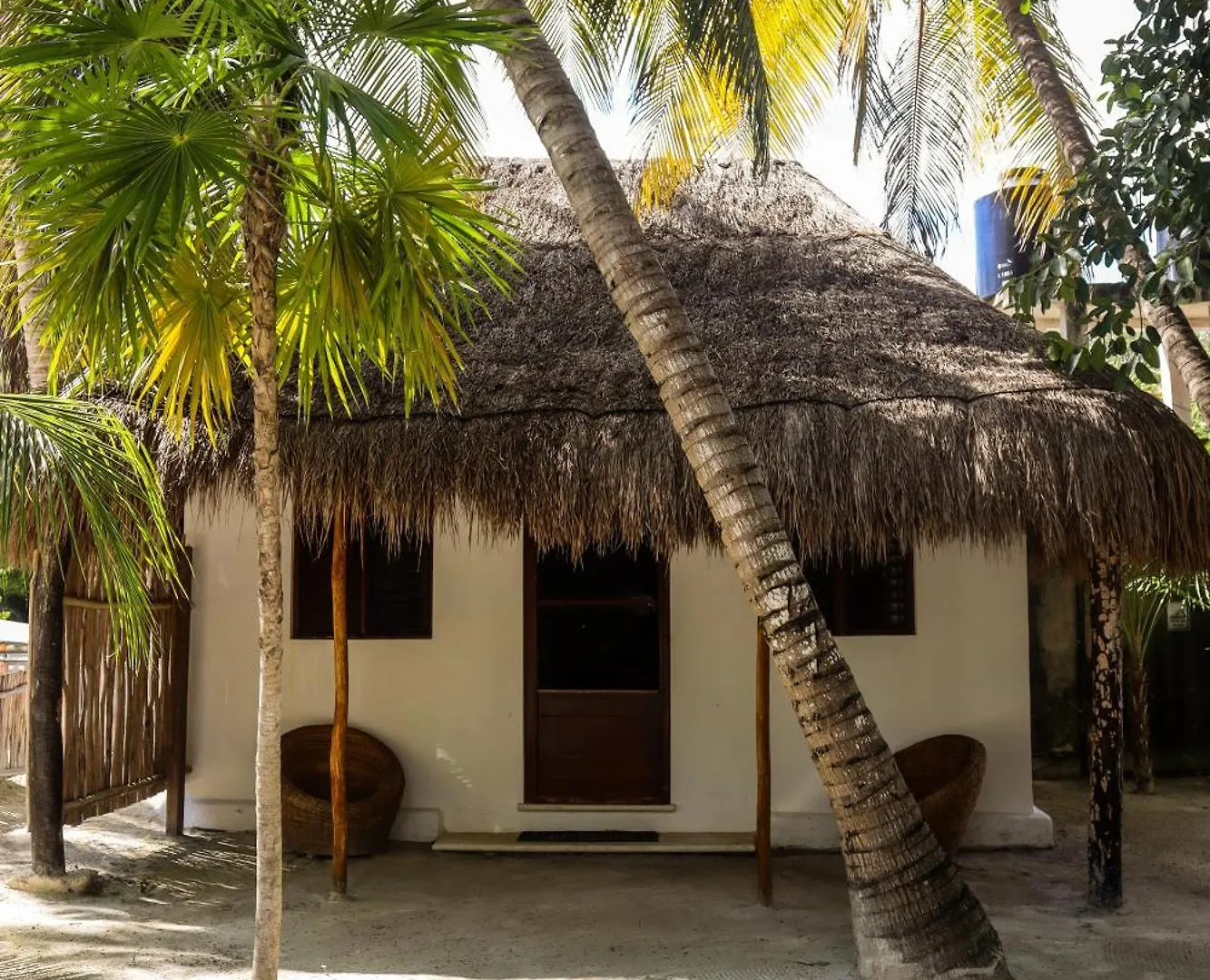 Alito Tulum Hotel 4*,  Mexico