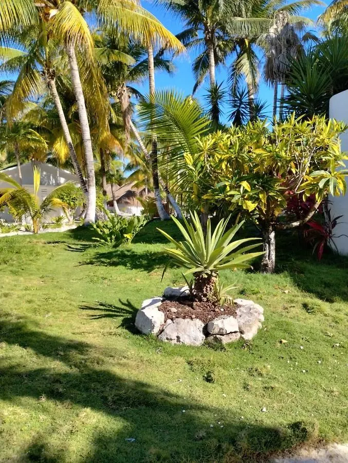 Alito Tulum Hotel
